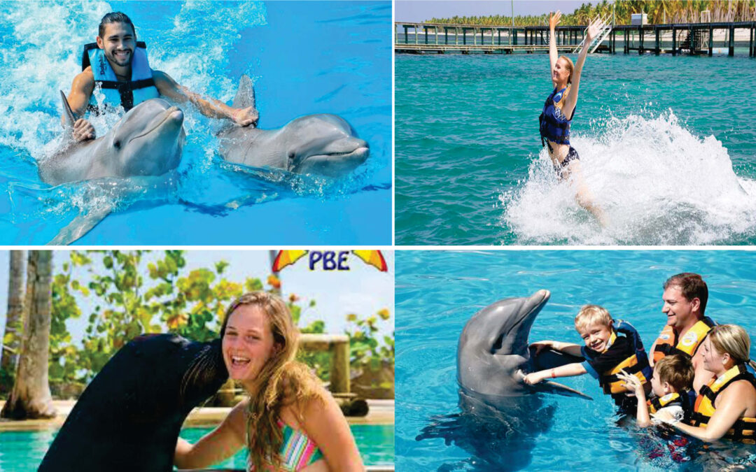 DOLPHIN EXPLORER